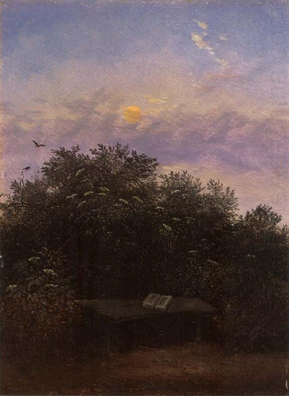 Carl Gustav Carus Blooming Elderberry Hedge in the Moonlight china oil painting image